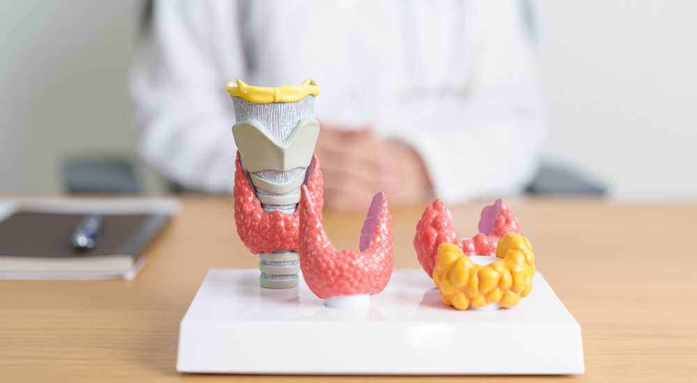 Thyroid-Services-Serving-Northwest-Arkansas-in-Springdale-Rogers-and-Fayetteville-AR