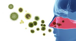 Pollen allergy / Hay fever